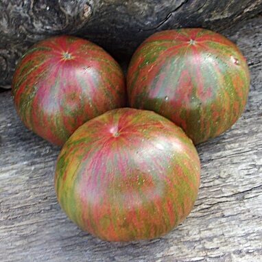 Galitskas (Галицькі)